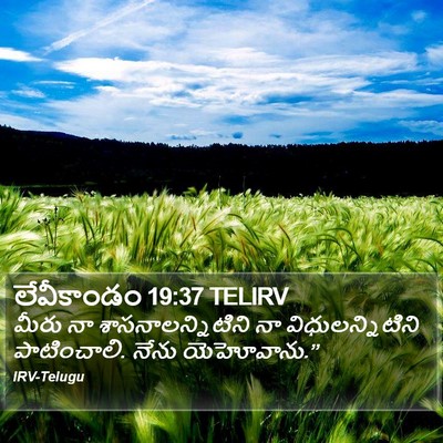 లేవీకాండం 19:37 TELIRV Bible Verse Image