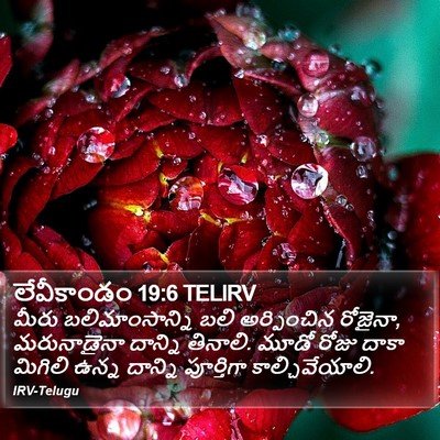 లేవీకాండం 19:6 TELIRV Bible Verse Image