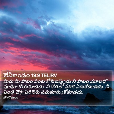 లేవీకాండం 19:9 TELIRV Bible Verse Image