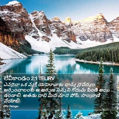 లేవీకాండం 2:1 TELIRV Bible Verse Image