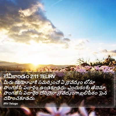 లేవీకాండం 2:11 TELIRV Bible Verse Image