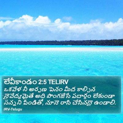 లేవీకాండం 2:5 TELIRV Bible Verse Image
