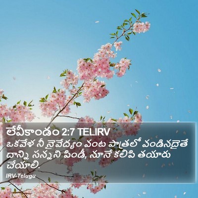 లేవీకాండం 2:7 TELIRV Bible Verse Image