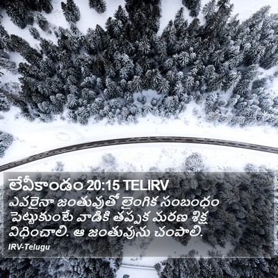 లేవీకాండం 20:15 TELIRV Bible Verse Image