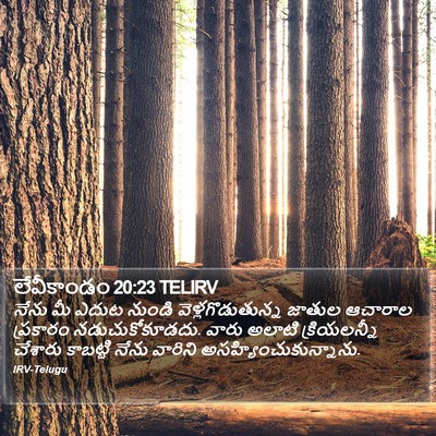 లేవీకాండం 20:23 TELIRV Bible Verse Image