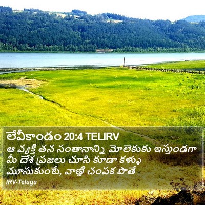 లేవీకాండం 20:4 TELIRV Bible Verse Image