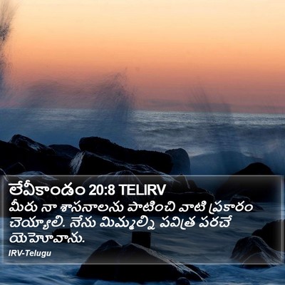 లేవీకాండం 20:8 TELIRV Bible Verse Image