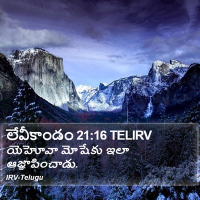 లేవీకాండం 21:16 TELIRV Bible Verse Image