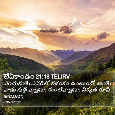 లేవీకాండం 21:18 TELIRV Bible Verse Image