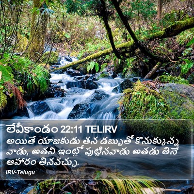 లేవీకాండం 22:11 TELIRV Bible Verse Image