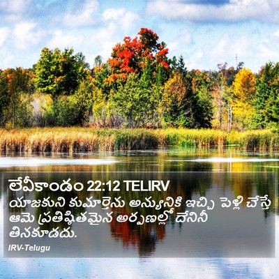 లేవీకాండం 22:12 TELIRV Bible Verse Image