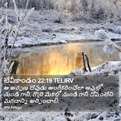 లేవీకాండం 22:19 TELIRV Bible Verse Image