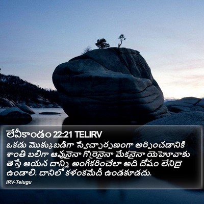 లేవీకాండం 22:21 TELIRV Bible Verse Image