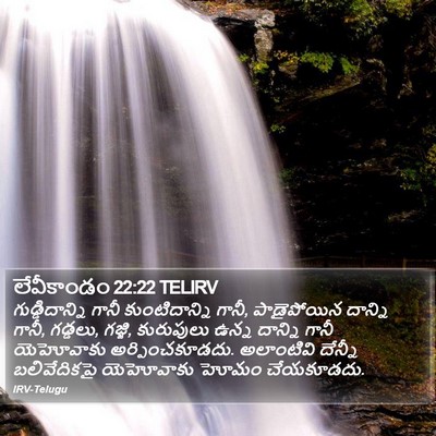 లేవీకాండం 22:22 TELIRV Bible Verse Image
