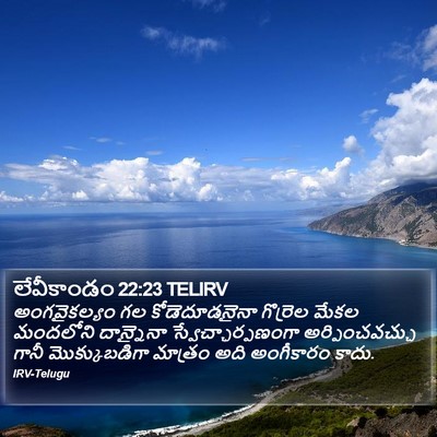 లేవీకాండం 22:23 TELIRV Bible Verse Image
