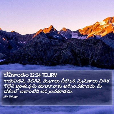 లేవీకాండం 22:24 TELIRV Bible Verse Image