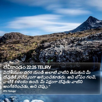 లేవీకాండం 22:25 TELIRV Bible Verse Image