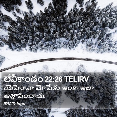 లేవీకాండం 22:26 TELIRV Bible Verse Image