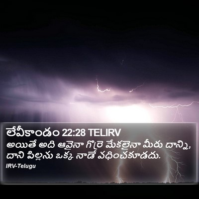 లేవీకాండం 22:28 TELIRV Bible Verse Image