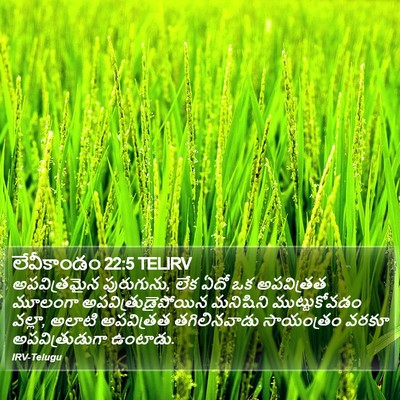 లేవీకాండం 22:5 TELIRV Bible Verse Image