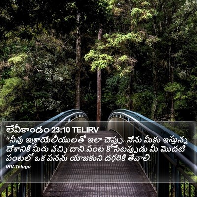 లేవీకాండం 23:10 TELIRV Bible Verse Image