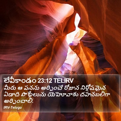 లేవీకాండం 23:12 TELIRV Bible Verse Image