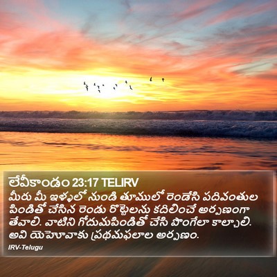 లేవీకాండం 23:17 TELIRV Bible Verse Image