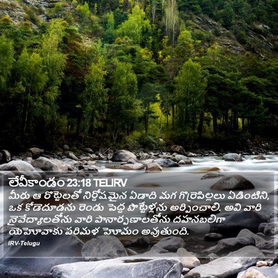 లేవీకాండం 23:18 TELIRV Bible Verse Image