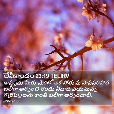 లేవీకాండం 23:19 TELIRV Bible Verse Image