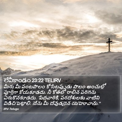 లేవీకాండం 23:22 TELIRV Bible Verse Image