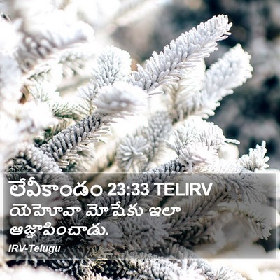 లేవీకాండం 23:33 TELIRV Bible Verse Image