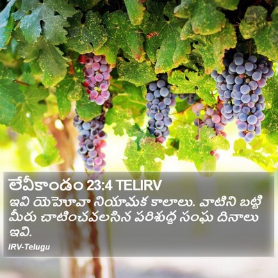 లేవీకాండం 23:4 TELIRV Bible Verse Image