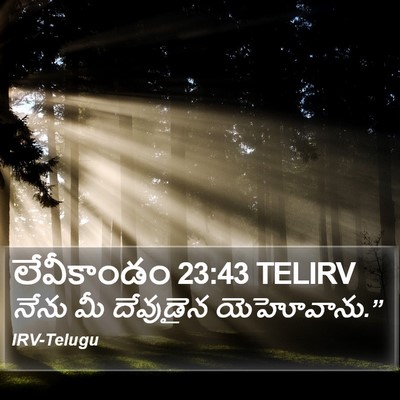 లేవీకాండం 23:43 TELIRV Bible Verse Image