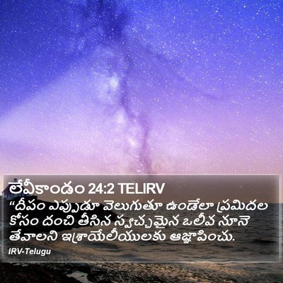 లేవీకాండం 24:2 TELIRV Bible Verse Image