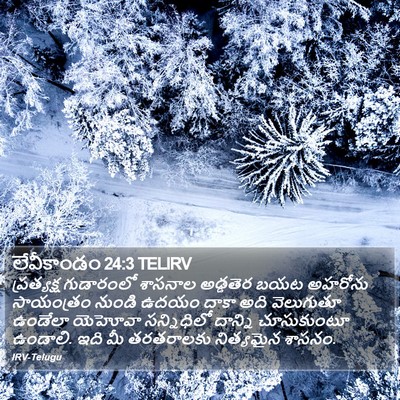 లేవీకాండం 24:3 TELIRV Bible Verse Image