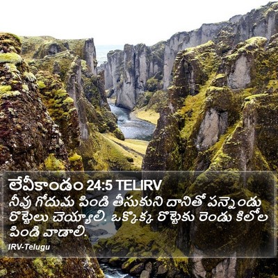 లేవీకాండం 24:5 TELIRV Bible Verse Image