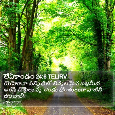 లేవీకాండం 24:6 TELIRV Bible Verse Image