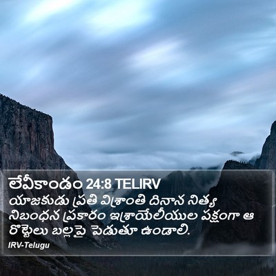 లేవీకాండం 24:8 TELIRV Bible Verse Image