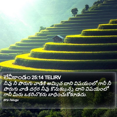 లేవీకాండం 25:14 TELIRV Bible Verse Image