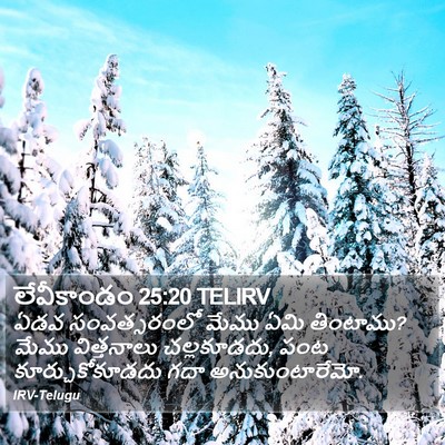 లేవీకాండం 25:20 TELIRV Bible Verse Image