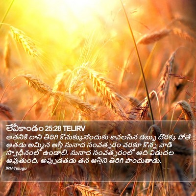 లేవీకాండం 25:28 TELIRV Bible Verse Image