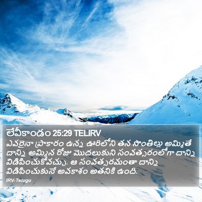 లేవీకాండం 25:29 TELIRV Bible Verse Image