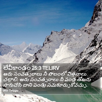 లేవీకాండం 25:3 TELIRV Bible Verse Image