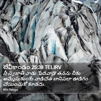 లేవీకాండం 25:39 TELIRV Bible Verse Image