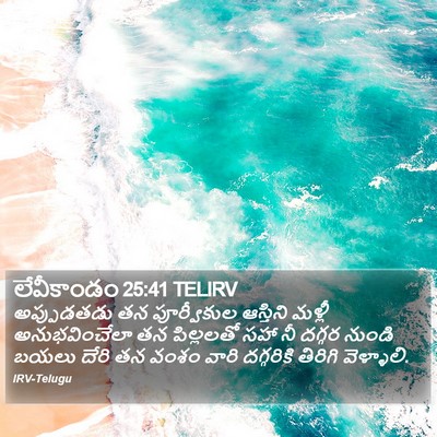 లేవీకాండం 25:41 TELIRV Bible Verse Image