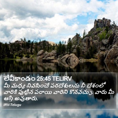 లేవీకాండం 25:45 TELIRV Bible Verse Image