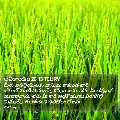 లేవీకాండం 26:13 TELIRV Bible Verse Image