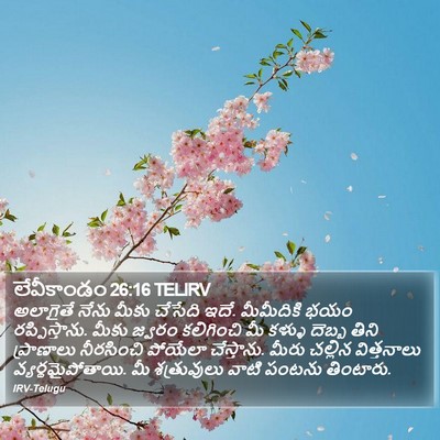 లేవీకాండం 26:16 TELIRV Bible Verse Image