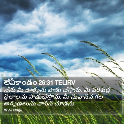 లేవీకాండం 26:31 TELIRV Bible Verse Image
