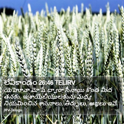 లేవీకాండం 26:46 TELIRV Bible Verse Image